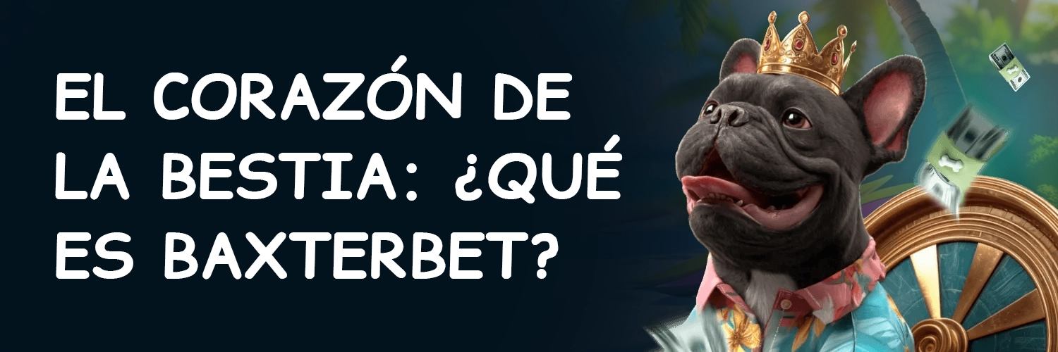 Baxterbet casino Baxterbet casino